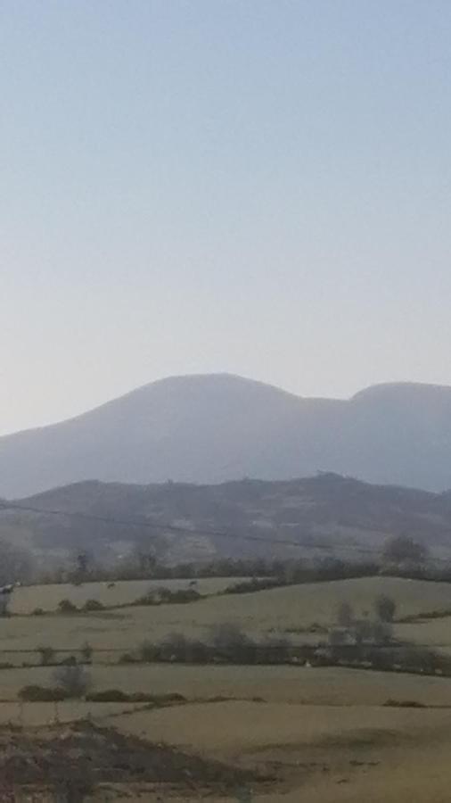 Bed and Breakfast Mountainview Ballyward Exterior foto